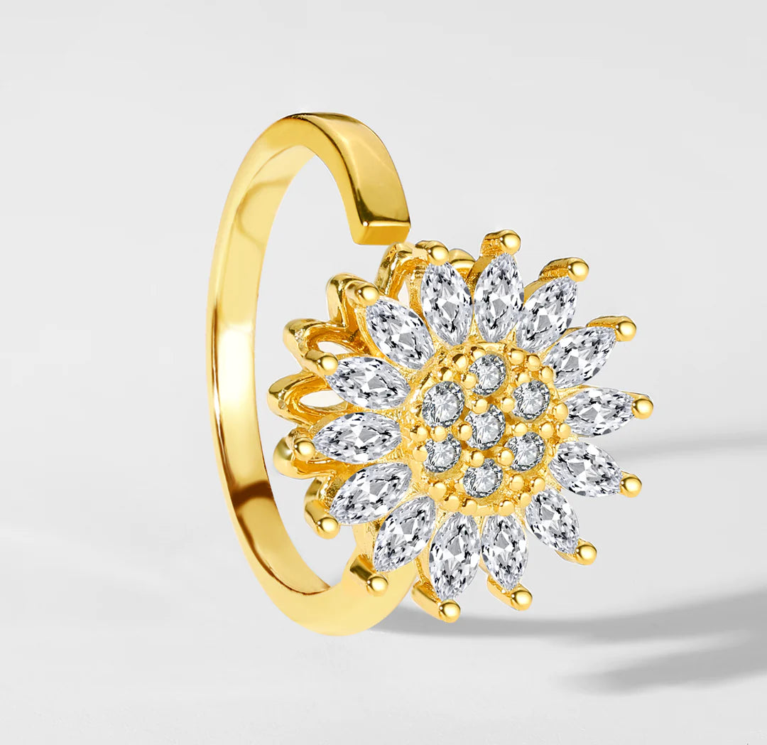 SPINNING WORRY RING