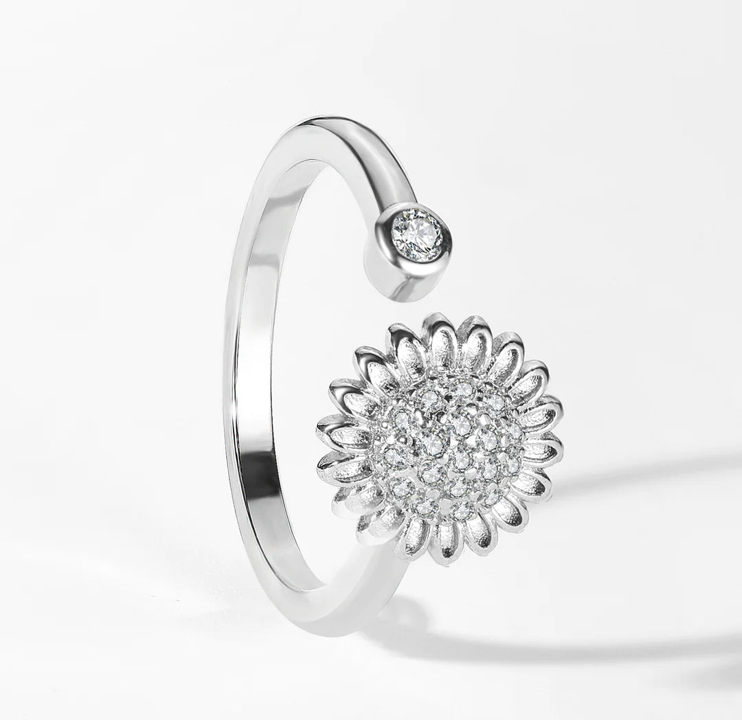 SPINNING WORRY RING